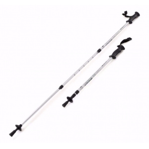 Nordic walking pole