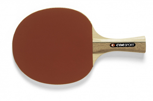 Table tennis paddle Leader * star 2 pcs set