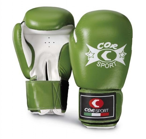 BOXING GLOVES