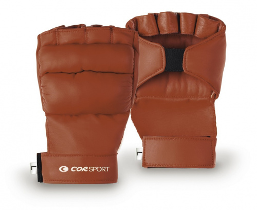 Guanti aeroboxe