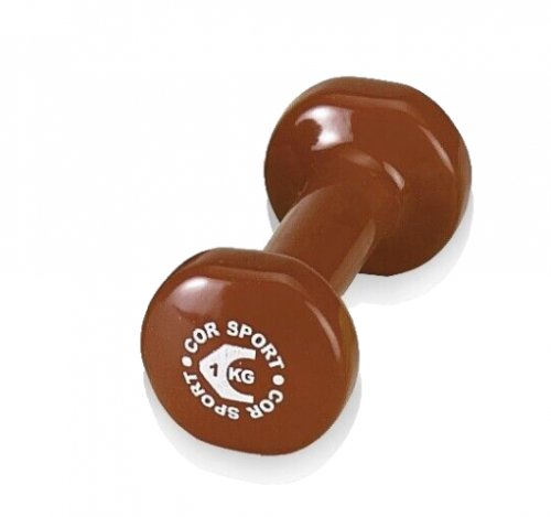 Vinyl dip dumbbell 2 kg pair